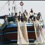 ۱۸۶ تن میگو در آب‌های استان بوشهر صید شد‌