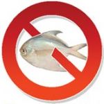 صید ماهی حلوا سفید ممنوع 