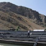 افزایش تعداد مزارع پرورش ماهی در اردبیل 