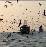 نجات 11صیاد استان از امواج متلاطم اقیانوس هند 