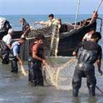 کاهش 49 درصدی صید ماهی در دریای خزر