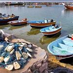 صیادان قایق دار بندر دیربوشهر خواستار رسیدگی به مشکلات خود شدند