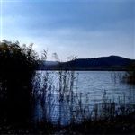دریاچه طبیعی نئور اردبیل احیا می‌شود 