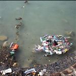 آلودگی در نوار ساحلی شهر بندرعباس