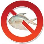 صید ماهی حلوا سفید در آبهای خوزستان و بوشهر ممنوع می شود