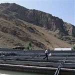بازدید کارشناسان شیلاتی ارمنستان از پروژه‌های آبزی‌پروری شازند