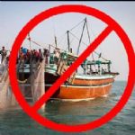 ممنوعیت صید میگو صورتی در صیدگاه بحرکان بندر هندیجان 