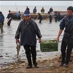 تمدید زمان صید ماهیان استخوانی در دریای خزر تا 25 فروردین