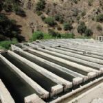 صنعت نوپای آبزی پروری در کردستان در مسیر شکوفایی و اشتغالزایی /گ