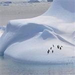 دو برابر شدن سرعت ذوب یخ‌های قطب جنوب 