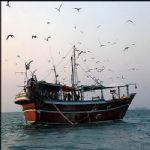30 هزارتن انواع ماهی در آبهای جاسک صید شد