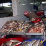 تعطیلی موقت بازار ماهی فروشان بندرعباس