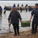 ۷۷۰ تن انواع ماهی از دریای مازندران صید شد