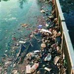 ‌آلودگی‎ رودخانه‎ها باعث بر هم خوردن اکوسیستم می‎شود 