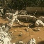 خسارت 17 میلیارد تومانی زلزله به شیلات کرمانشاه 