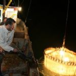 صید ماهیان کیلکا در مازندران رونق گرفت 