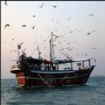 کمک بلاعوض شیلات برای جبران خسارت های دزدی دریایی
