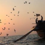 کاهش 18 درصدی صید میگو در آب‌های بوشهر 