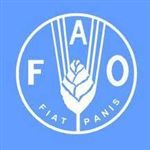 فائو: ايران الگوي امنيت غذايي منطقه