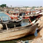 دریابست، طرحی برای مدیریت پایدار صید در خلیج فارس
