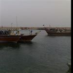 ۵۰۰میلیارد ریال به بنادر صیادی استان بوشهر تخصیص یافت 