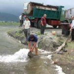 رهاسازی مولد ماهی کلمه در رودخانه گرگانرود برای بازسازی ذخایر دریای خزر