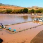 سیل به ۹۳ مجتمع پرورش ماهی الیگودرز خسارت زد