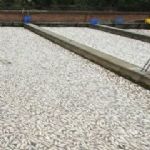 پرداخت 5.2 میلیارد تومان خسارت به مزارع پرورش ماهی 