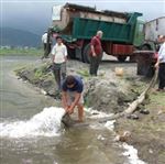 رهاسازی 9میلیون قطعه بچه ماهی در رودخانه های رودسر