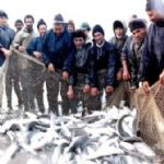 رشد ۱۰ درصدی صید در سال ۹۶