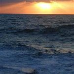 وضعیت زیست‌محیطی دریای خزر ‌بحرانی است 