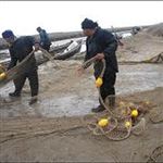 کاهش صید ماهیان استخوانی دریای خزر در گیلان
