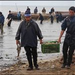 صید 24 هزار تن ماهی استخوانی از دریای خزر 