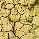 وضعیت بحرانی رودخانه کرخه؛ کاهش ۸۰ درصدی جریان آب 