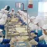 تولید بیش از 105 هزار تن فرآورده شیلاتی در خوزستان 
