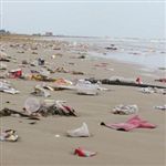 شهروندان گناوه‌ای ساحل این شهر را پاکسازی کردند
