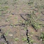 ۶ هزار چشمه و قنات در سراسر کشور خشک شده است 
