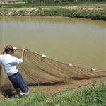 تشکیل کارگروه واگذاری آب‌بندان‌های گیلان به بخش خصوصی